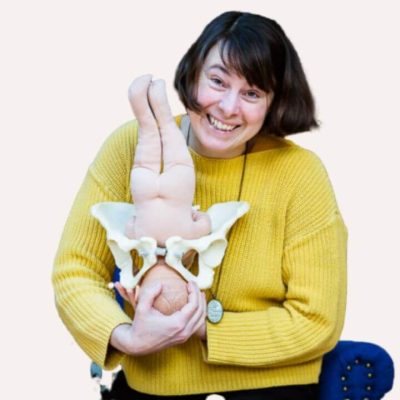 labour anatomy for birth professional header